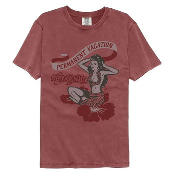 Aerosmith-Aerosmith Pv-Brick Adult S/S Comfort Color T-Shirt - Brick