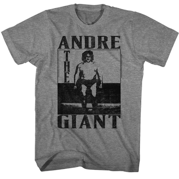 Andre The Giant-Andre The Giant-Graphite Heather Adult S/S T-Shirt - Graphite Heather