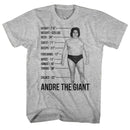 Andre The Giant-Giant Specs-Gray Heather Adult S/S T-Shirt - Gray Heather