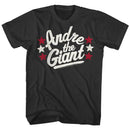 Andre The Giant-Andre The Giant-Smoke Adult S/S T-Shirt - Smoke