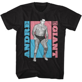 Andre The Giant-Andre The Giant Atg Color Blocks-Black Adult S/S T-Shirt - Black