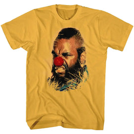 Mr T-Why Must I-Ginger Adult S/S T-Shirt - Ginger
