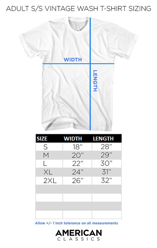 Pink Floyd Distressed Prism Adult T-Shirts