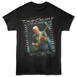 David Gilmour-David Gilmour Lap Alt-Black Adult S/S T-Shirt - Black