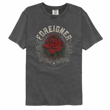 Foreigner Love Is Pepper Comfort Colors Adult T-Shirt
