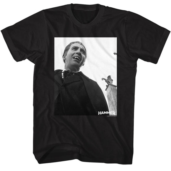 Hammer Horror-Hammer Horror Dracula Screenshot-Black Adult S/S T-Shirt - Black