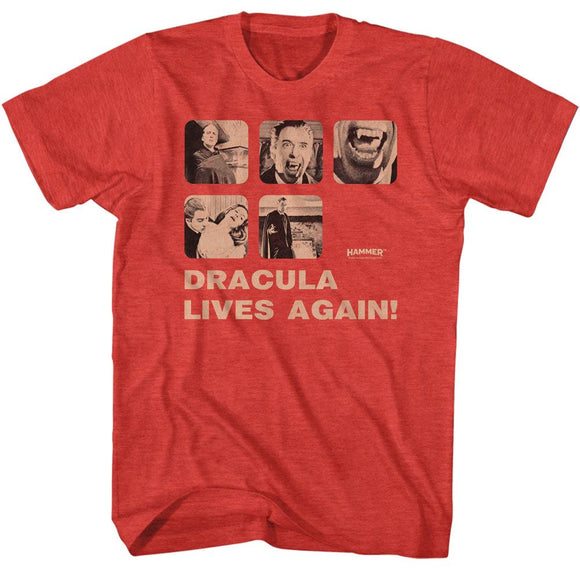 Hammer Horror-Hammer Horror Dracula Risen-Red Heather Adult S/S T-Shirt - Red Heather