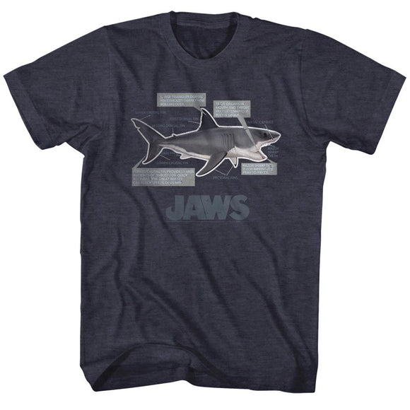 Jaws-Jaws Anatomy-Navy Heather Adult S/S T-Shirt - Navy Heather
