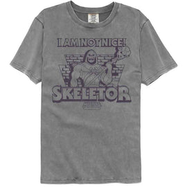 Masters Of The Universe-Motu Not Nice Skeletor-Gray Adult S/S Comfort Color T-Shirt - Gray