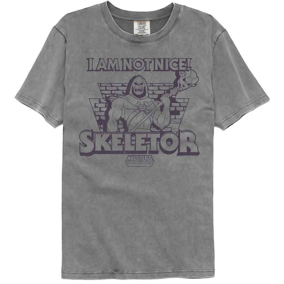 Masters Of The Universe-Motu Not Nice Skeletor-Gray Adult S/S Comfort Color T-Shirt - Gray