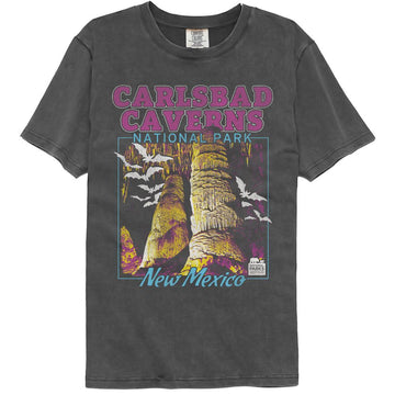 NATIONAL PARKS NPCA CARLSBAD CAVERNS COMFORT COLOR S T-Shirt in Pepper