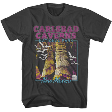 NATIONAL PARKS NPCA CARLSBAD CAVERNS S T-Shirt in Smoke