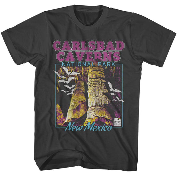 NATIONAL PARKS NPCA CARLSBAD CAVERNS S T-Shirt in Smoke
