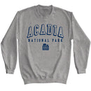 NATIONAL PARKS NPCA ACADIA NP COLLEGIATE GRAPHITE HEATHER T-Shirt in Graphite Heather