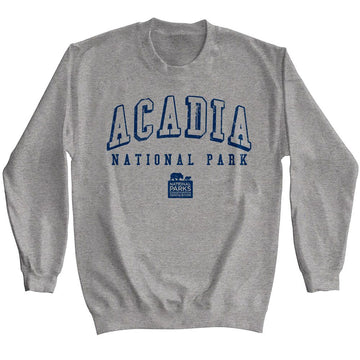 NATIONAL PARKS NPCA ACADIA NP COLLEGIATE GRAPHITE HEATHER T-Shirt in Graphite Heather