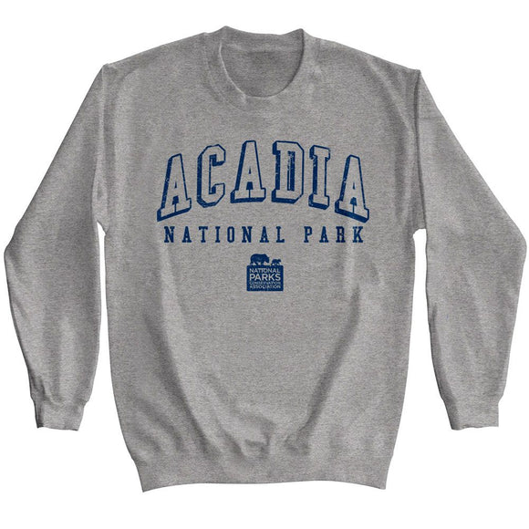 NATIONAL PARKS NPCA ACADIA NP COLLEGIATE GRAPHITE HEATHER T-Shirt in Graphite Heather