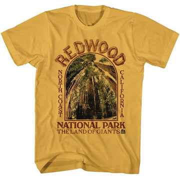 NATIONAL PARKS NPCA REDWOOD LAND OF GIANTS S T-Shirt in Ginger
