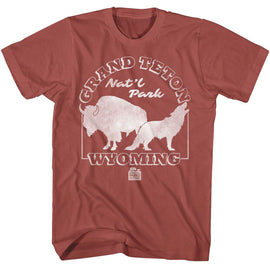 NATIONAL PARKS NPCA GRAND TETON S T-Shirt in Terracotta