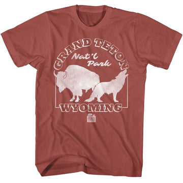 NATIONAL PARKS NPCA GRAND TETON S T-Shirt in Terracotta