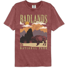 NATIONAL PARKS NPCA BADLANDS MINIMALIST LANDSCAPE COMFORT T-Shirt in Brick