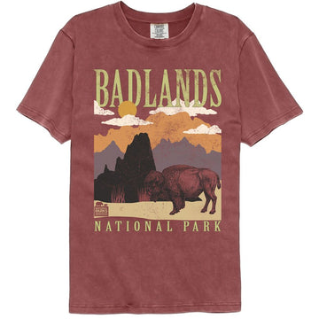 NATIONAL PARKS NPCA BADLANDS MINIMALIST LANDSCAPE COMFORT T-Shirt in Brick