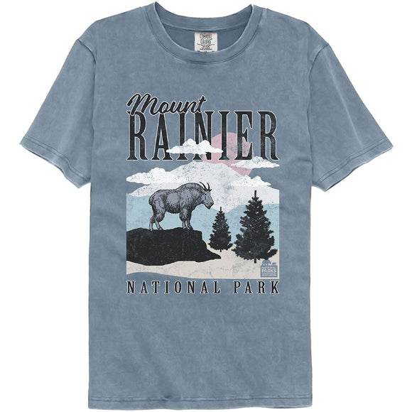 NATIONAL PARKS NPCA RANIER MINIMALIST LANDSCAPE COMFORT T-Shirt in BLUE JEAN