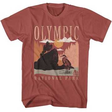 NATIONAL PARKS NPCA OLYMPIC MINIMALIST LANDSCAPE S T-Shirt in Terracotta