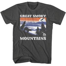 NATIONAL PARKS NPCA GSM BEAR AND MTNS DARK S T-Shirt in Smoke