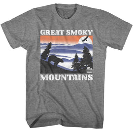 NATIONAL PARKS NPCA GSM BEAR AND MNTNS LIGHT S T-Shirt in Graphite Heather