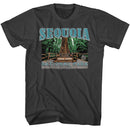 NATIONAL PARKS NPCA SEQUOIA S T-Shirt in Smoke