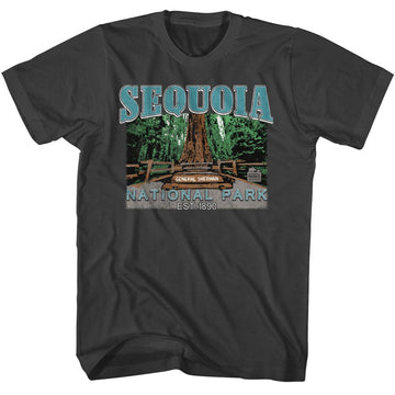 NATIONAL PARKS NPCA SEQUOIA S T-Shirt in Smoke