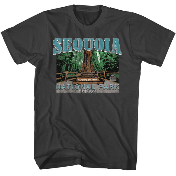 NATIONAL PARKS NPCA SEQUOIA S T-Shirt in Smoke