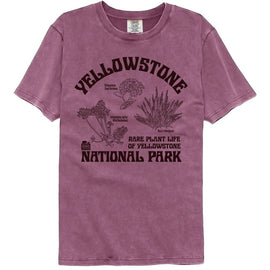 NATIONAL PARKS NPCA RARE PLANTS YELLOWSTONE COMFORT COLOR S T-Shirt in Berry