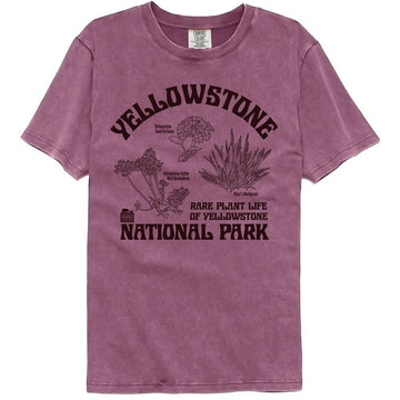 NATIONAL PARKS NPCA RARE PLANTS YELLOWSTONE COMFORT COLOR S T-Shirt in Berry