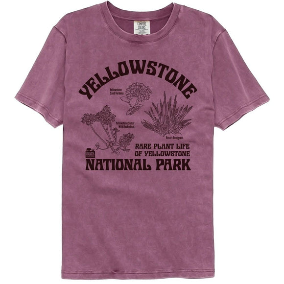 NATIONAL PARKS NPCA RARE PLANTS YELLOWSTONE COMFORT COLOR S T-Shirt in Berry