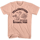 NATIONAL PARKS NPCA RARE PLANTS YELLOWSTONE S T-Shirt in Peach