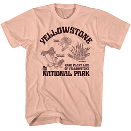 NATIONAL PARKS NPCA RARE PLANTS YELLOWSTONE S T-Shirt in Peach