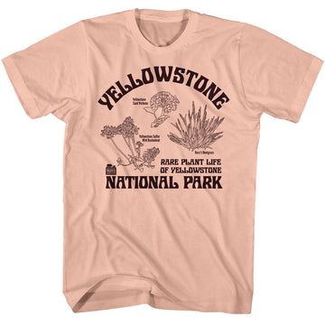 NATIONAL PARKS NPCA RARE PLANTS YELLOWSTONE S T-Shirt in Peach
