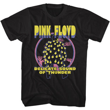 PINK FLOYD DELICATE S T-Shirt in Black