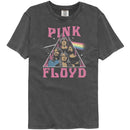 PINK FLOYD IN SPACE COMFORT COLOR S T-Shirt in Pepper