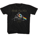 PINK FLOYD 50TH TRIANGLES TODDLER 2T T-Shirt in Black