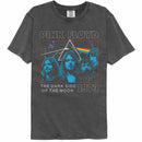 Pink Floyd Dark Side Pepper Comfort Colors Adult T-Shirt