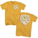 PINK FLOYD SHINE ON S ***F&B*** T-Shirt in Ginger