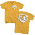 Pink Floyd Shine On Adult T-Shirts
