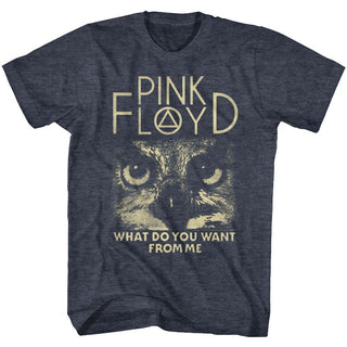 Pink Floyd Wdywfm Adult T-Shirts