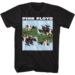Pink Floyd Cows Adult T-Shirts