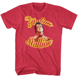 ROCKY BEATEN S T-Shirt in RED Heather