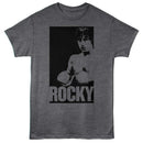 ROCKY IN A BOX S T-Shirt in Heather Charcoal