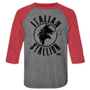 ROCKY STALLION 3/4 SLEEVE S T-Shirt in Premium Heather/vintage RED