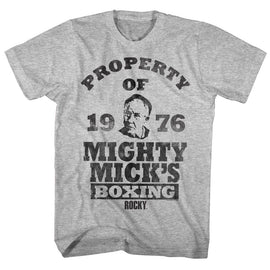 ROCKY PROPERTY OF S T-Shirt in GRAY Heather